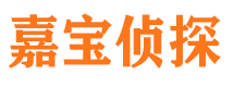 杞县市侦探调查公司